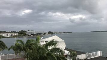 A coastal view with a white building near the water, palm trees, and a distant cityscape.