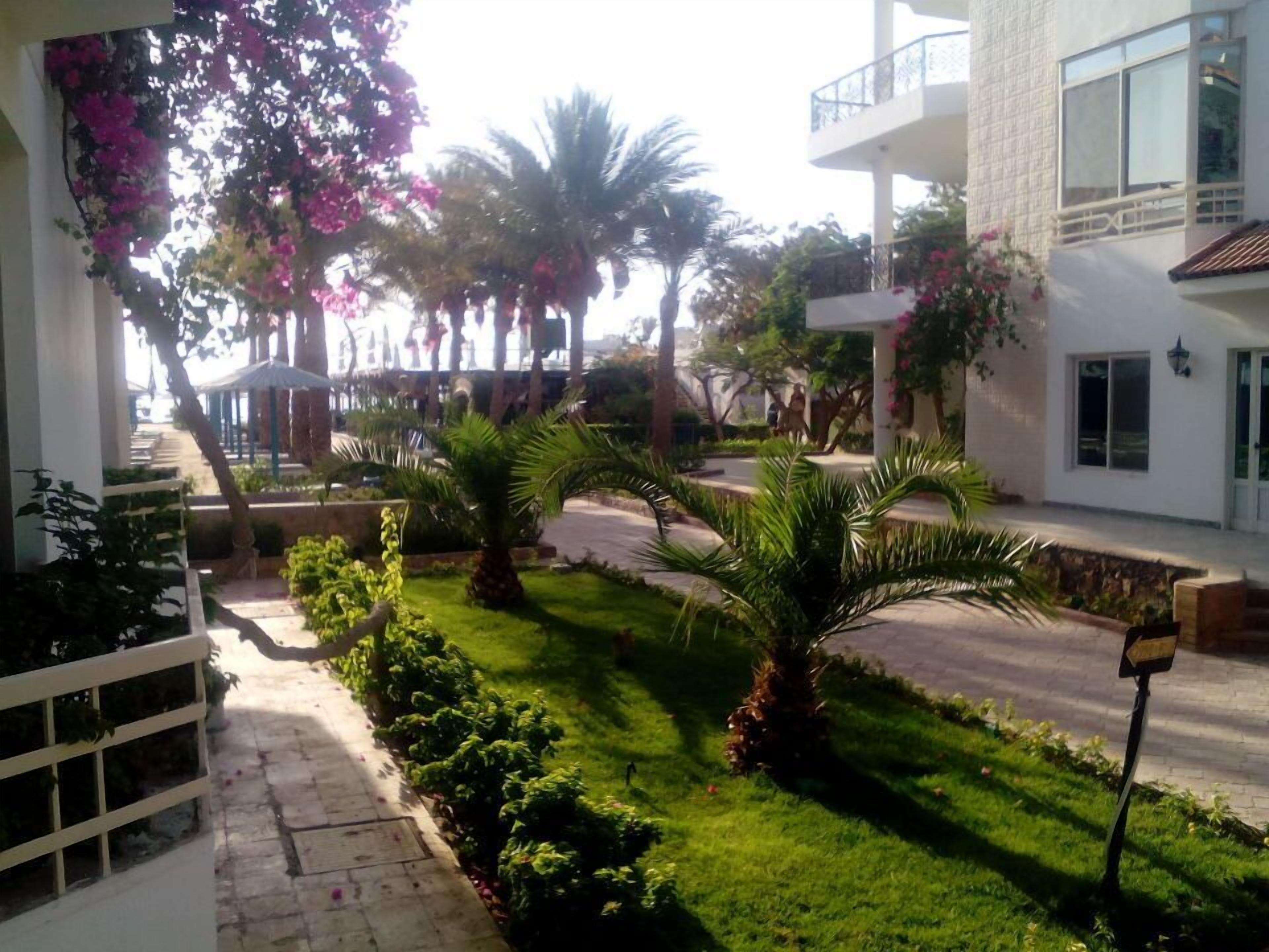 Foto - MinaMark Beach Resort for Families and Couples Only