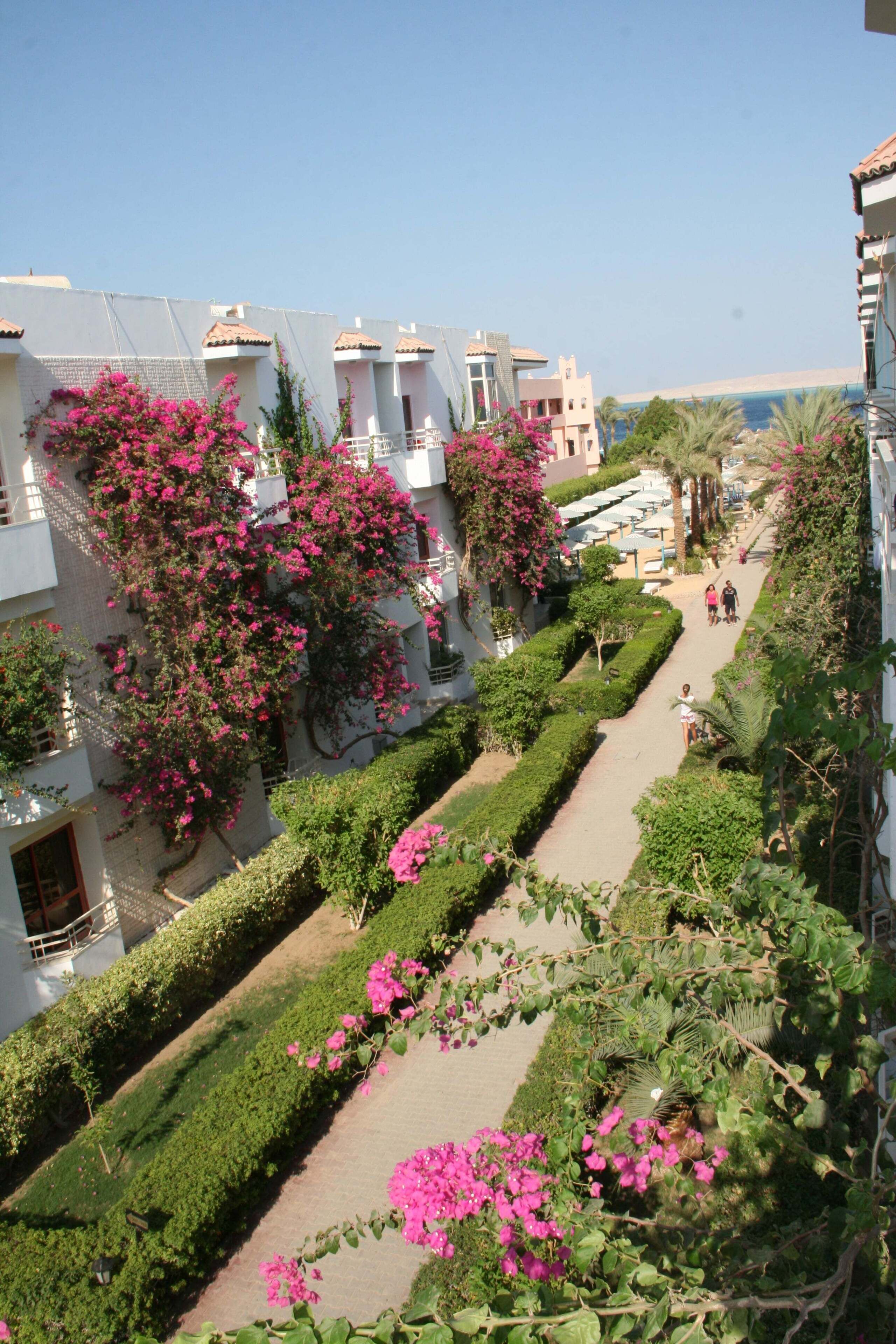 Foto - Minamark Resort & Spa, for families & couples only