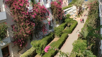 Um caminho estreito ladeado por vegetação exuberante e buganvílias cor-de-rosa, conduzindo a um edifício com telhado de cerâmica e varandas.