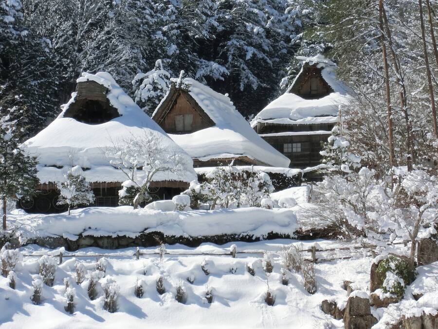 A traditional wooden house with a snow-covered roof, surrounded by snow-laden trees and shrubs.