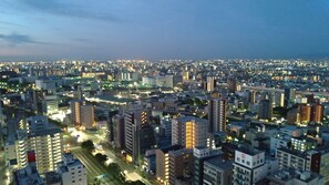 Vista des de l'habitació