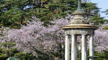 A gazebo with columns, surrounded by cherry blossoms and evergreen trees.