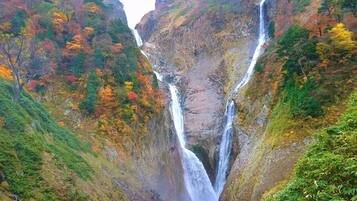 Una cascada se precipita por un desfiladero rocoso, rodeado de follaje otoñal.