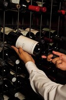 Una persona observa una botella de vino en una estantería con varias botellas.