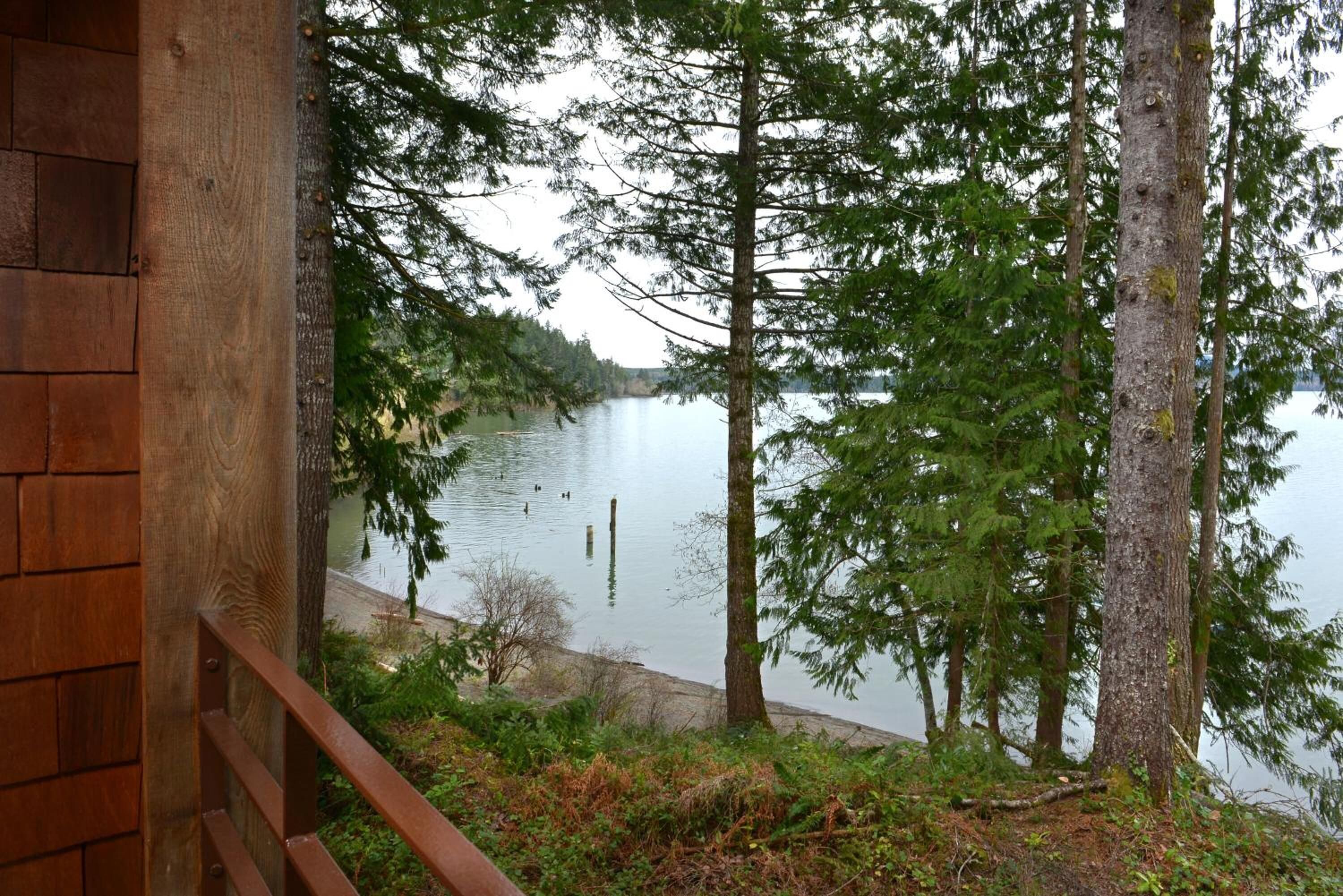 Una cabaña de madera con vista a un lago rodeado de altos árboles.