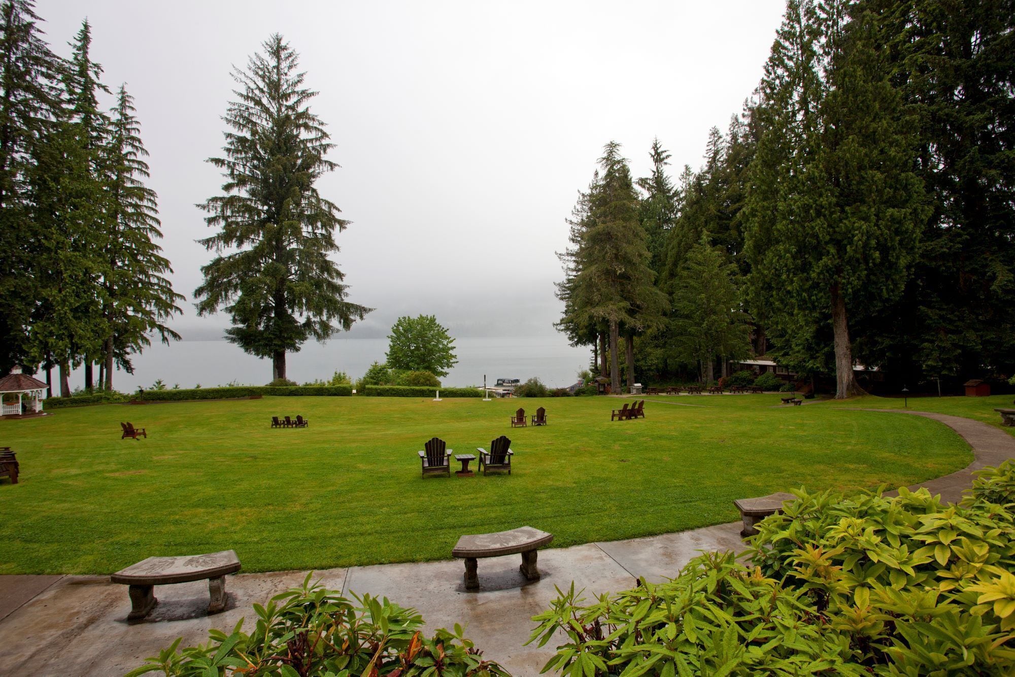 A grassy outdoor area with several wooden benches and picnic tables, surrounded by tall trees and a view of a body of water.