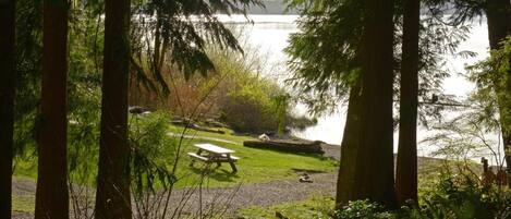 A serene lakeside setting with tall trees, a picnic table, and a grassy area.