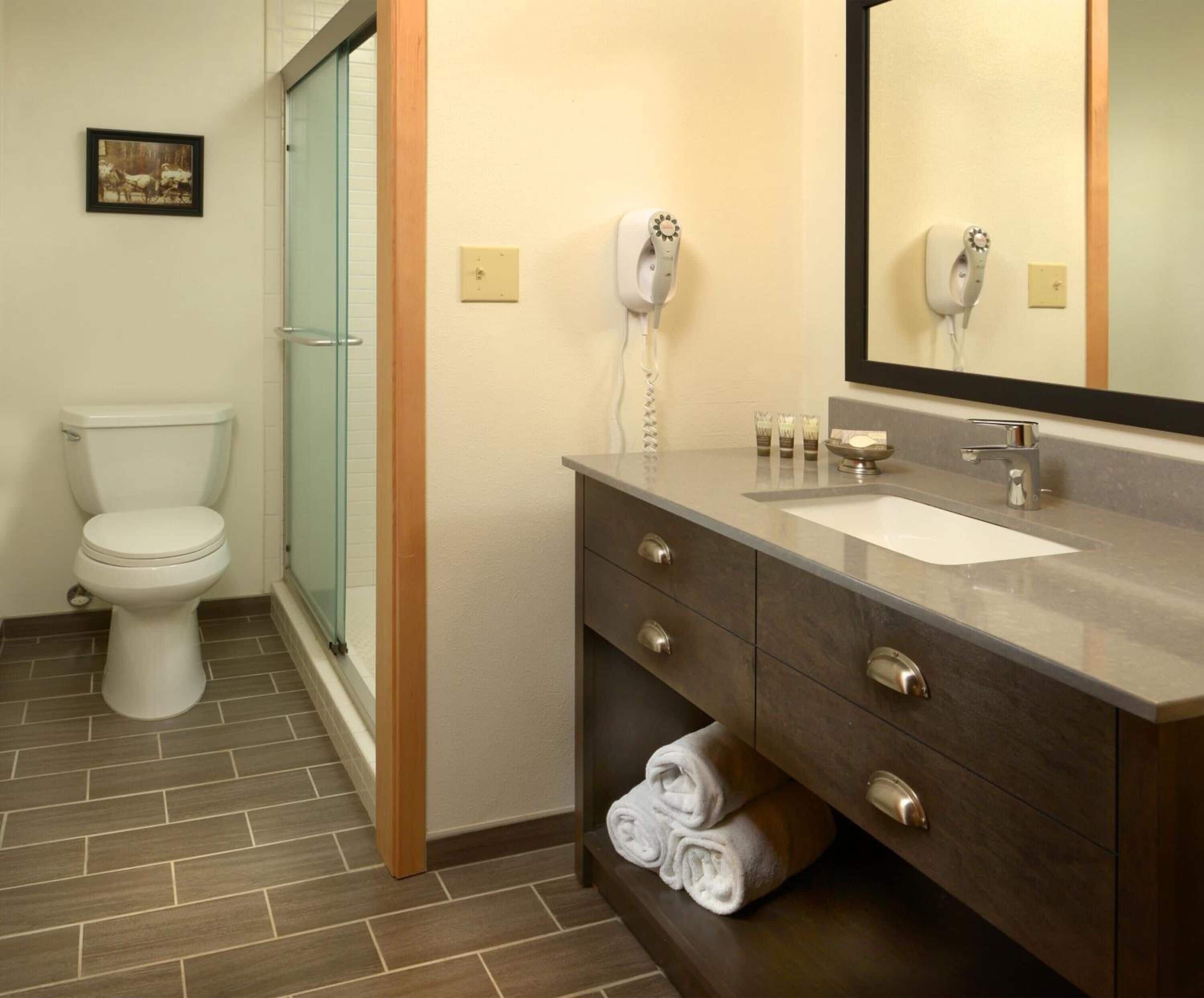 Bathroom | Combined shower/tub, free toiletries, hair dryer, towels