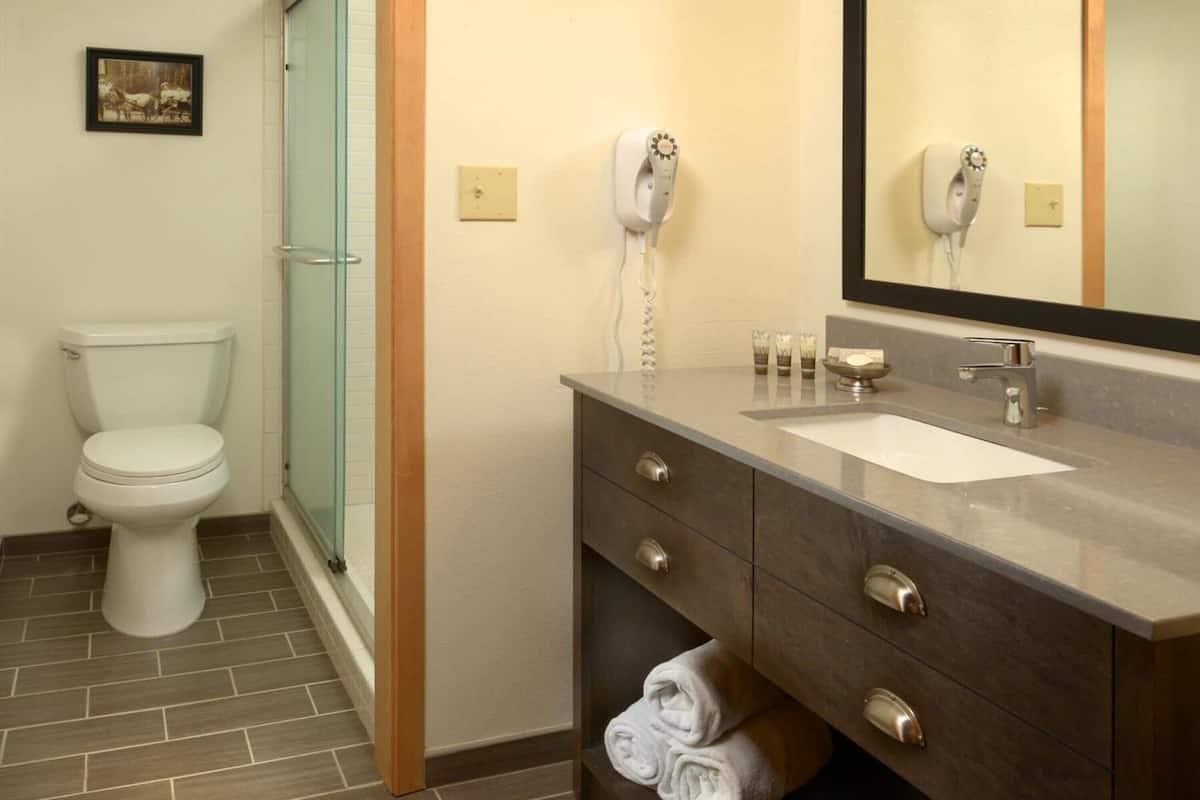 Une salle de bain comprenant des toilettes, une douche à parois de verre, un meuble-lavabo et un miroir.