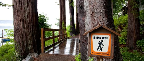 A hiking trail sign with a walking figure and a prohibition for motor vehicles.