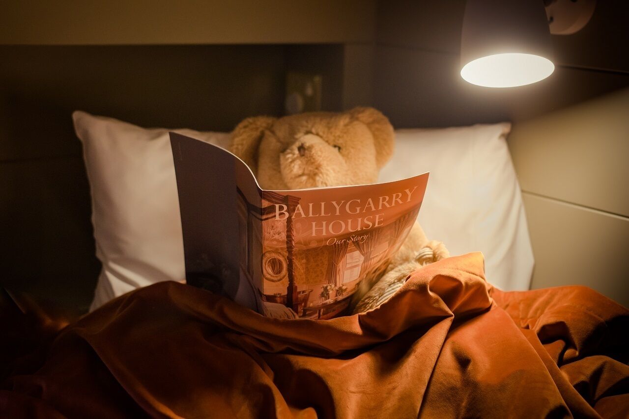 Een teddybeer ligt op een bed, voor zich ligt een boek met de titel 'Ballygarry House Our Story'.