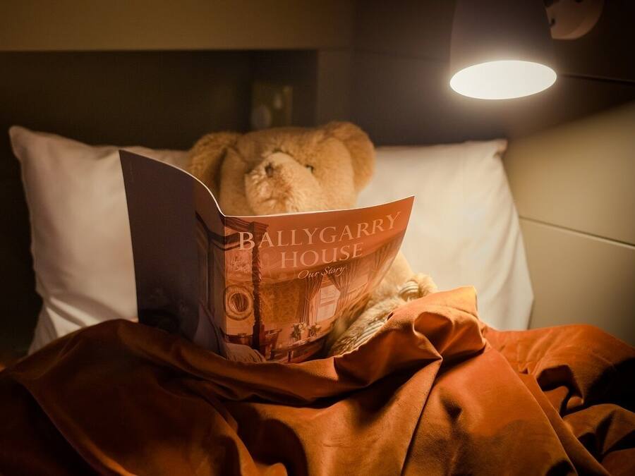 Een teddybeer ligt op een bed, voor zich ligt een boek met de titel 'Ballygarry House Our Story'.