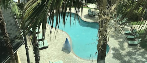 Outdoor pool, open 9:00 AM to 9:00 PM, pool umbrellas, pool loungers