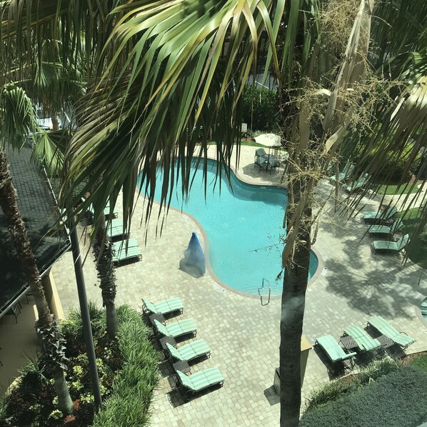 Piscine extérieure, parasols, chaises longues