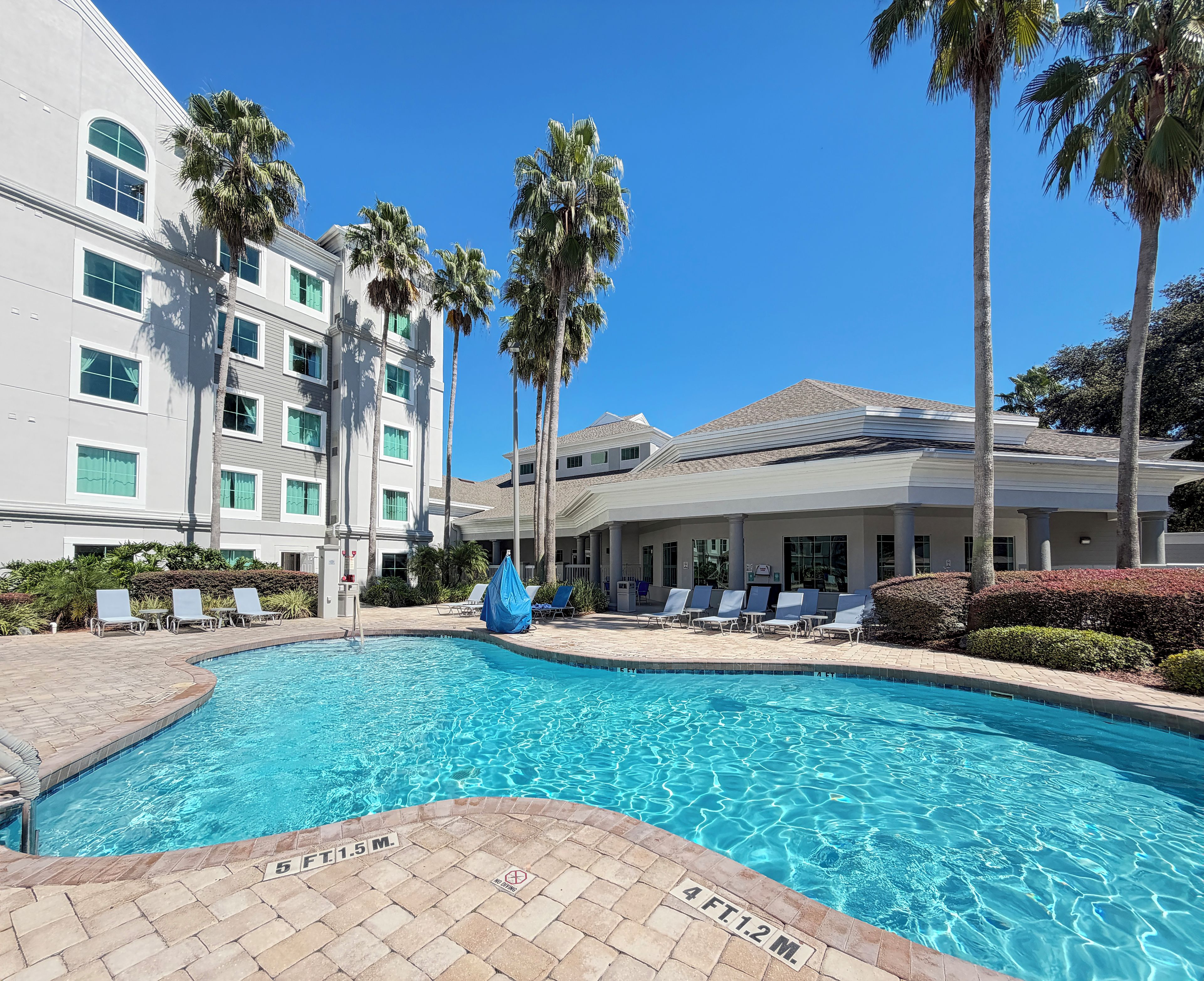 A swimming pool with lounge chairs and palm trees, surrounded by a multi-story building with large windows.