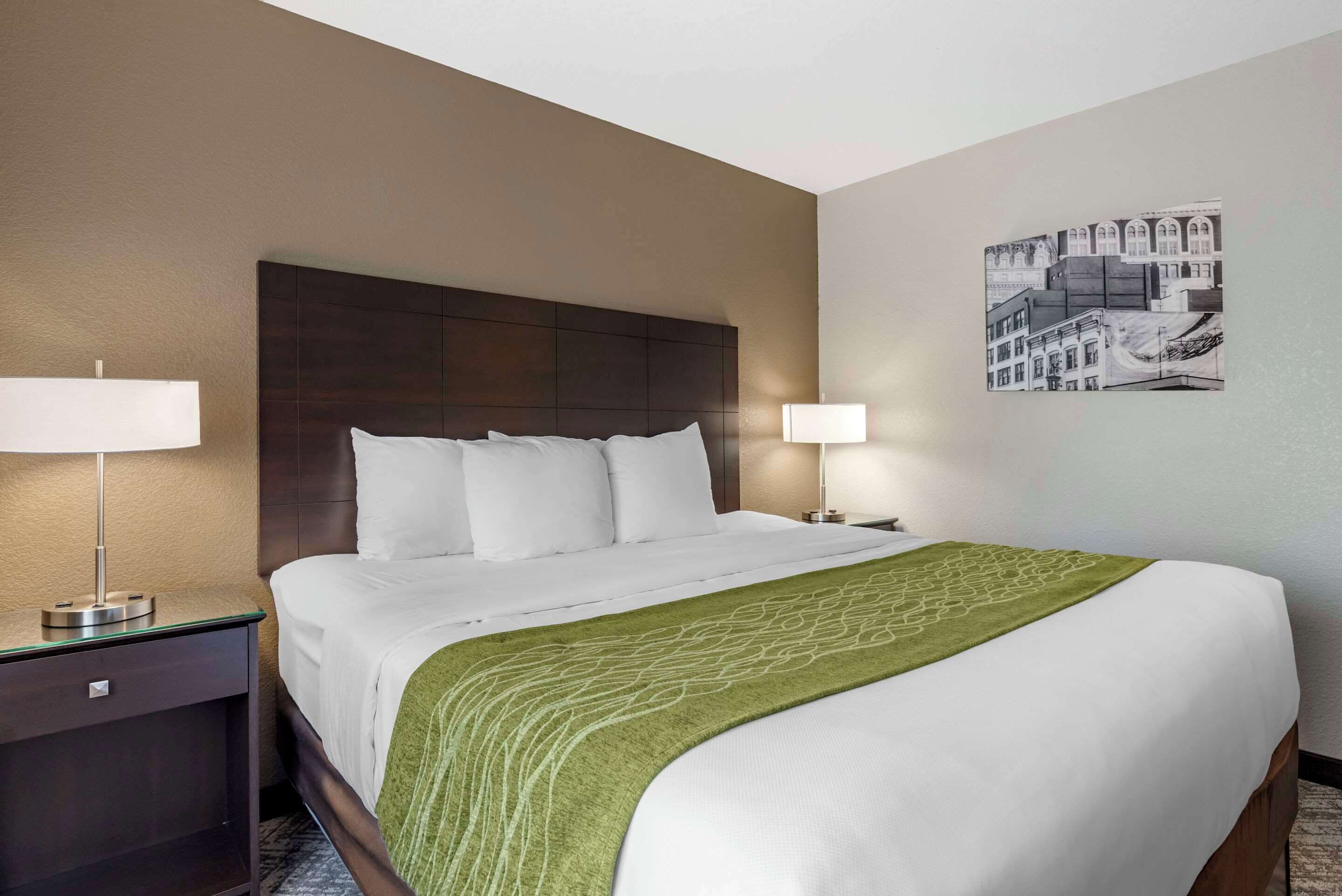 Una habitación de hotel con una cama grande, dos lámparas de noche, una manta verde y una obra de arte en la pared.
