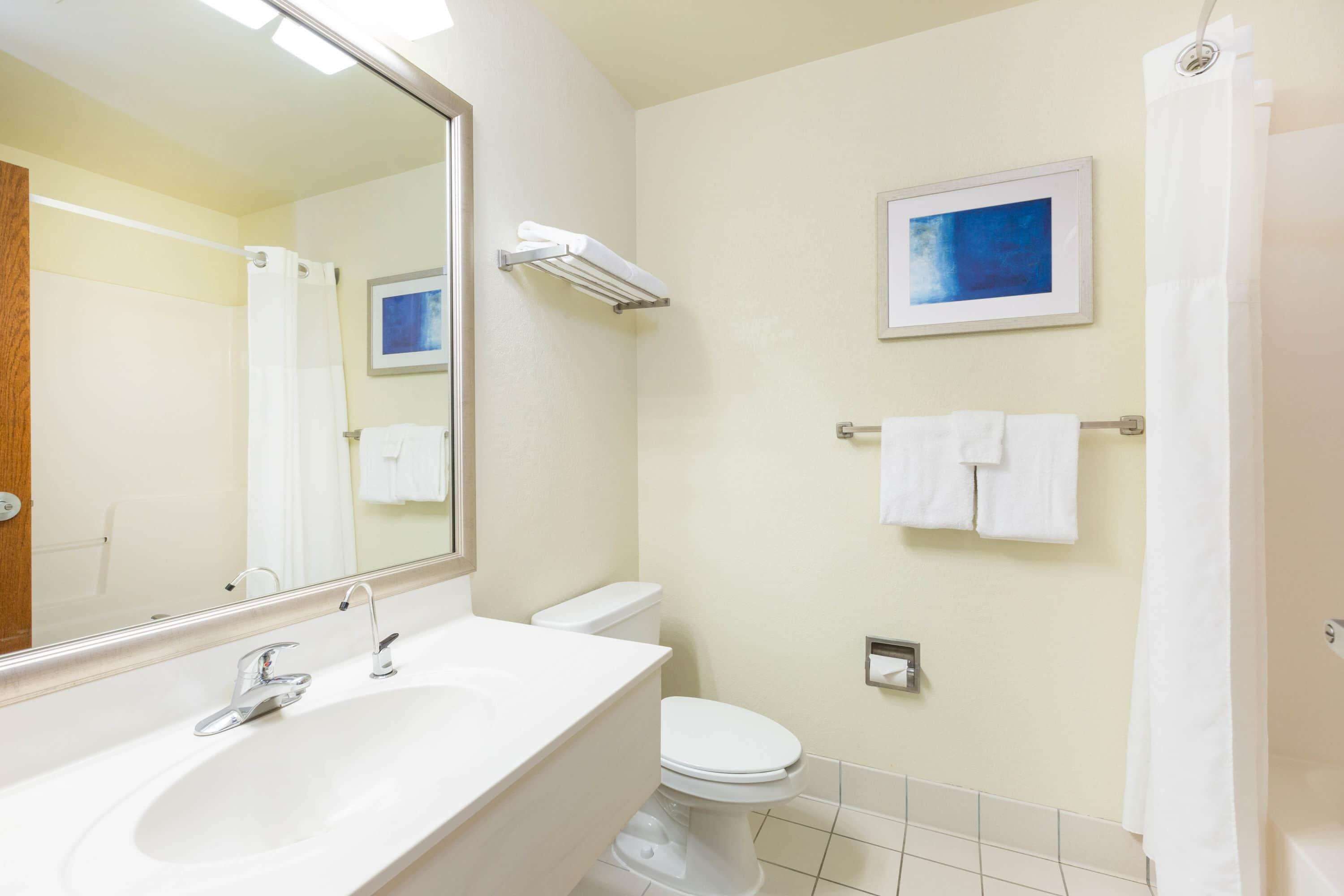 A bathroom with a white sink, a toilet, a towel rack, and a shower curtain.