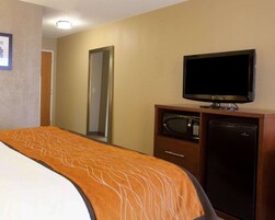 Una habitación de hotel con una cama, televisión, microondas y refrigerador.