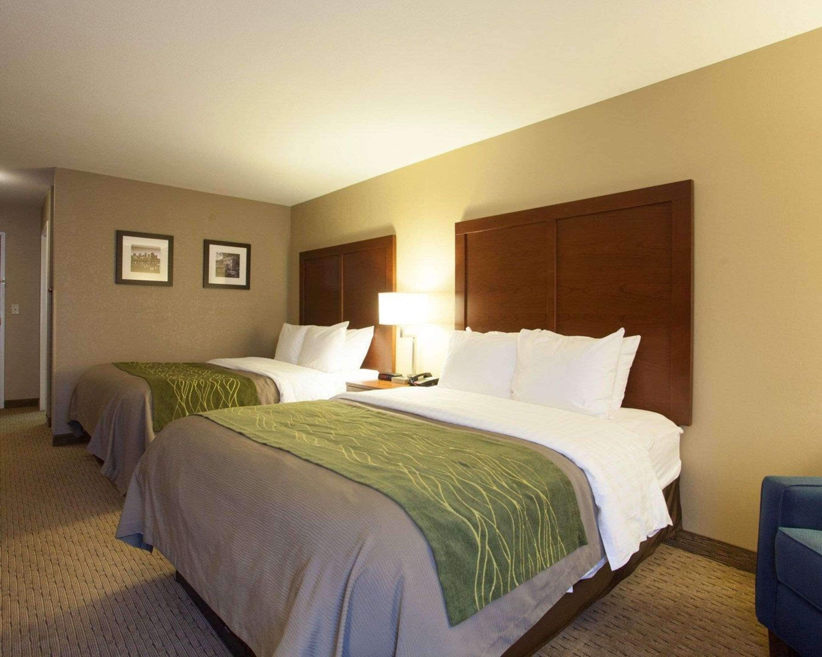 standard room, 2 queen beds, non smoking | desk, iron/ironing board, free cots/infant beds, rollaway beds