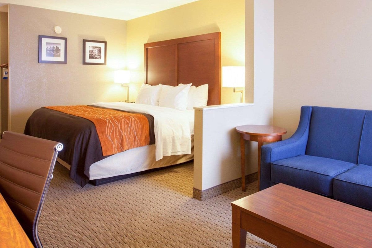 Habitación de hotel con cama, sofá azul, mesa de madera y dos cuadros en la pared.