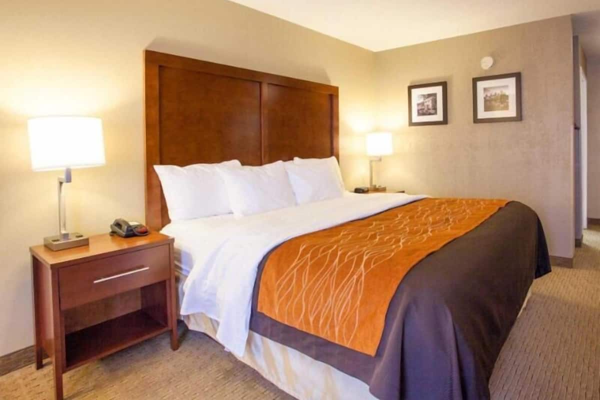 Habitación de hotel con una cama, mesitas de noche, una lámpara y cuadros en la pared.