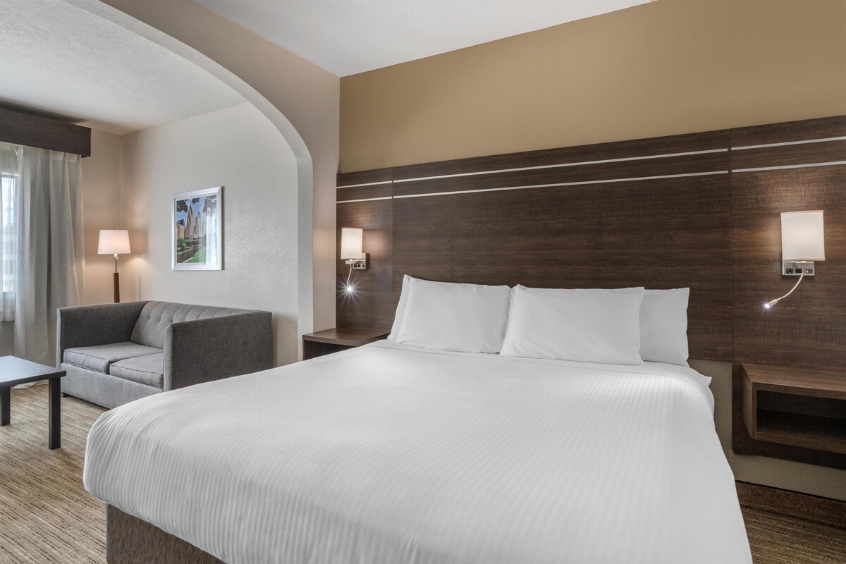 Suite, 1 King Bed, Non Smoking (Shower Only;with Sofabed) | Premium bedding, down comforters, pillowtop beds, desk