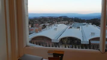 Premier-herbergi (View) | Rúmföt af bestu gerð, öryggishólf í herbergi, straujárn/strauborð