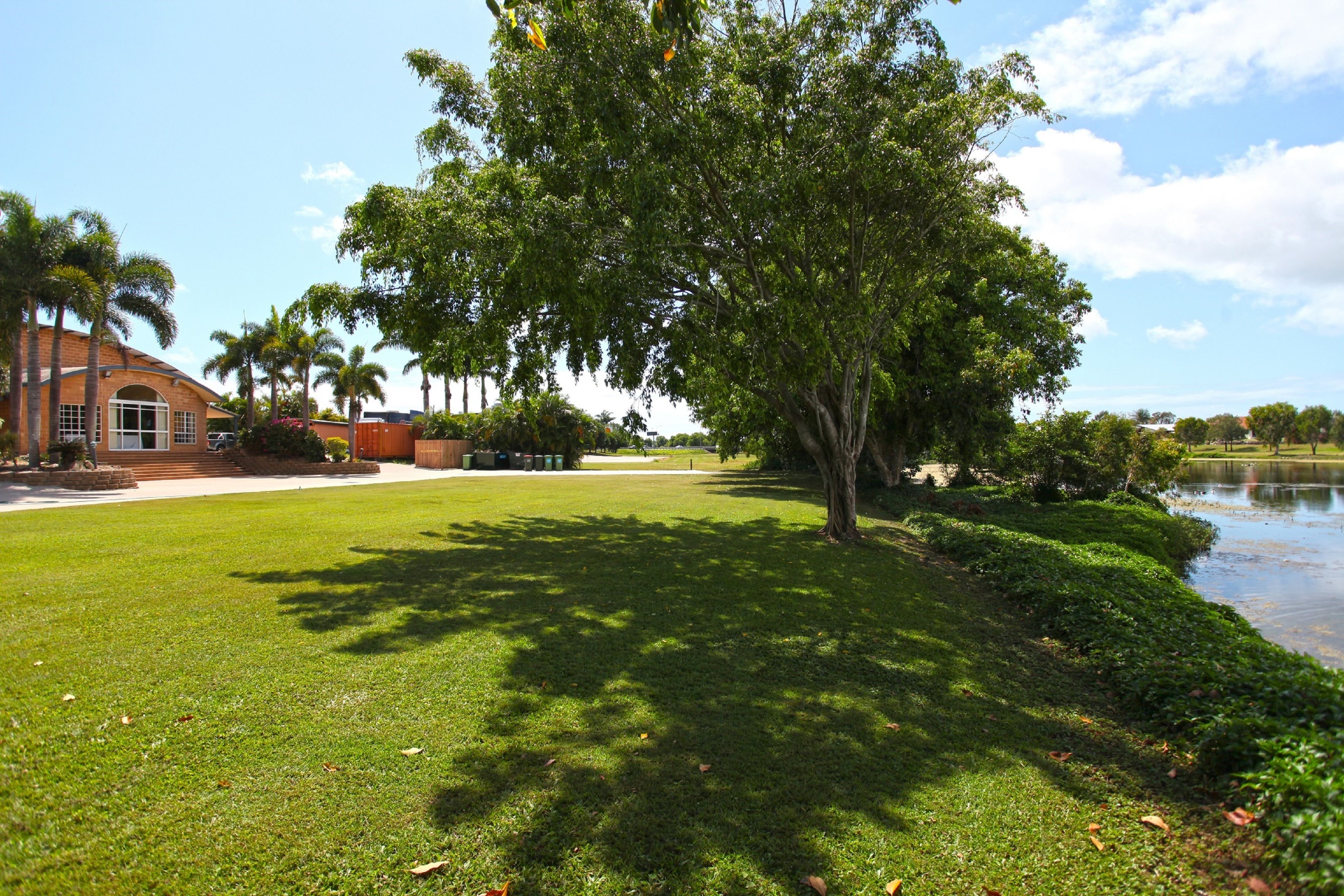 A grassy area with a large tree, a building with a brick facade, and a body of water.