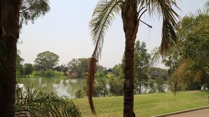 A view of a lake with palm trees and a grassy area in the foreground.