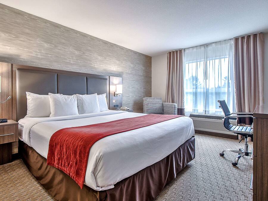 A hotel room with a large bed, a desk, and a chair. There is a window with curtains, a nightstand, and a lamp.