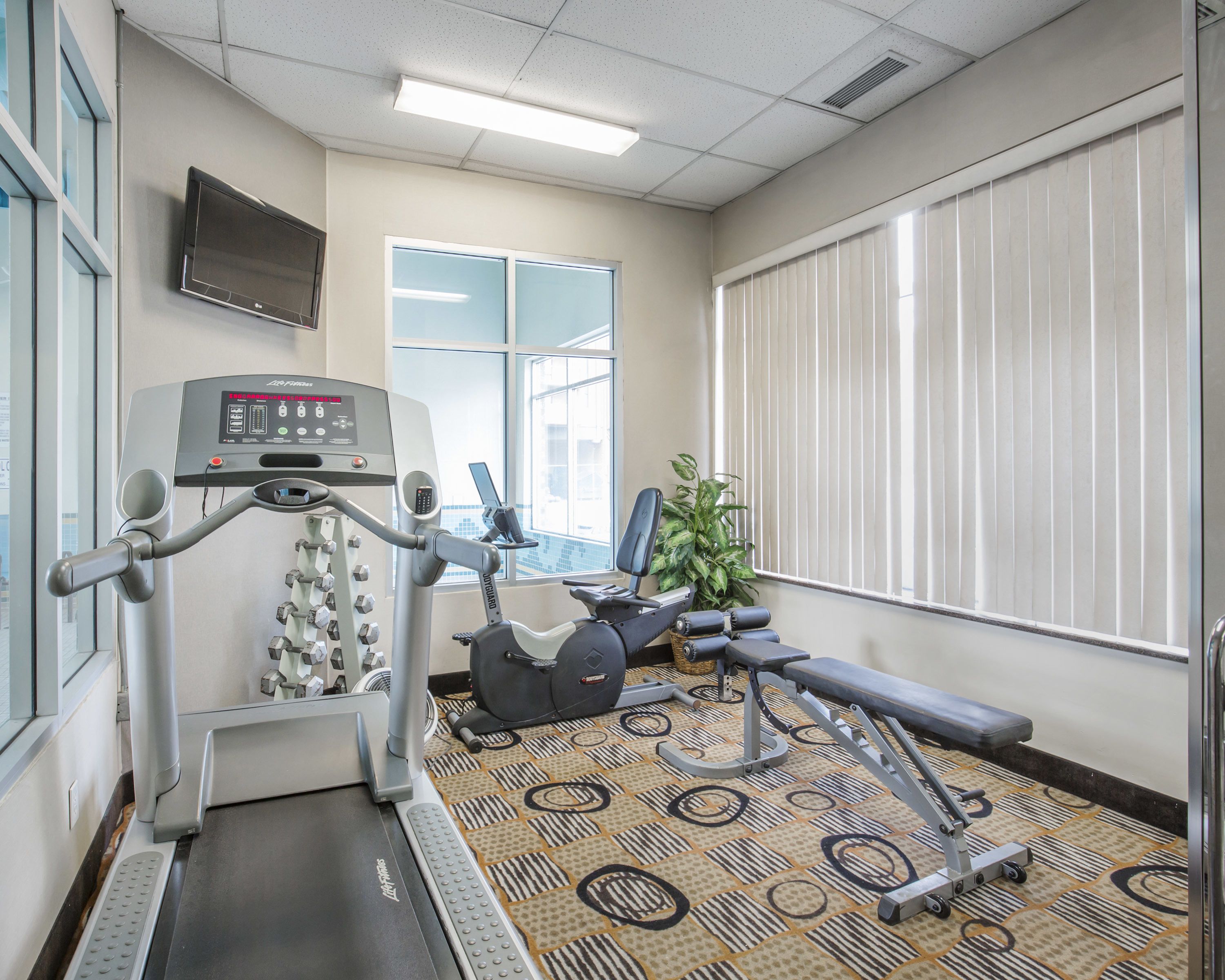 Foto - Comfort Inn & Suites South