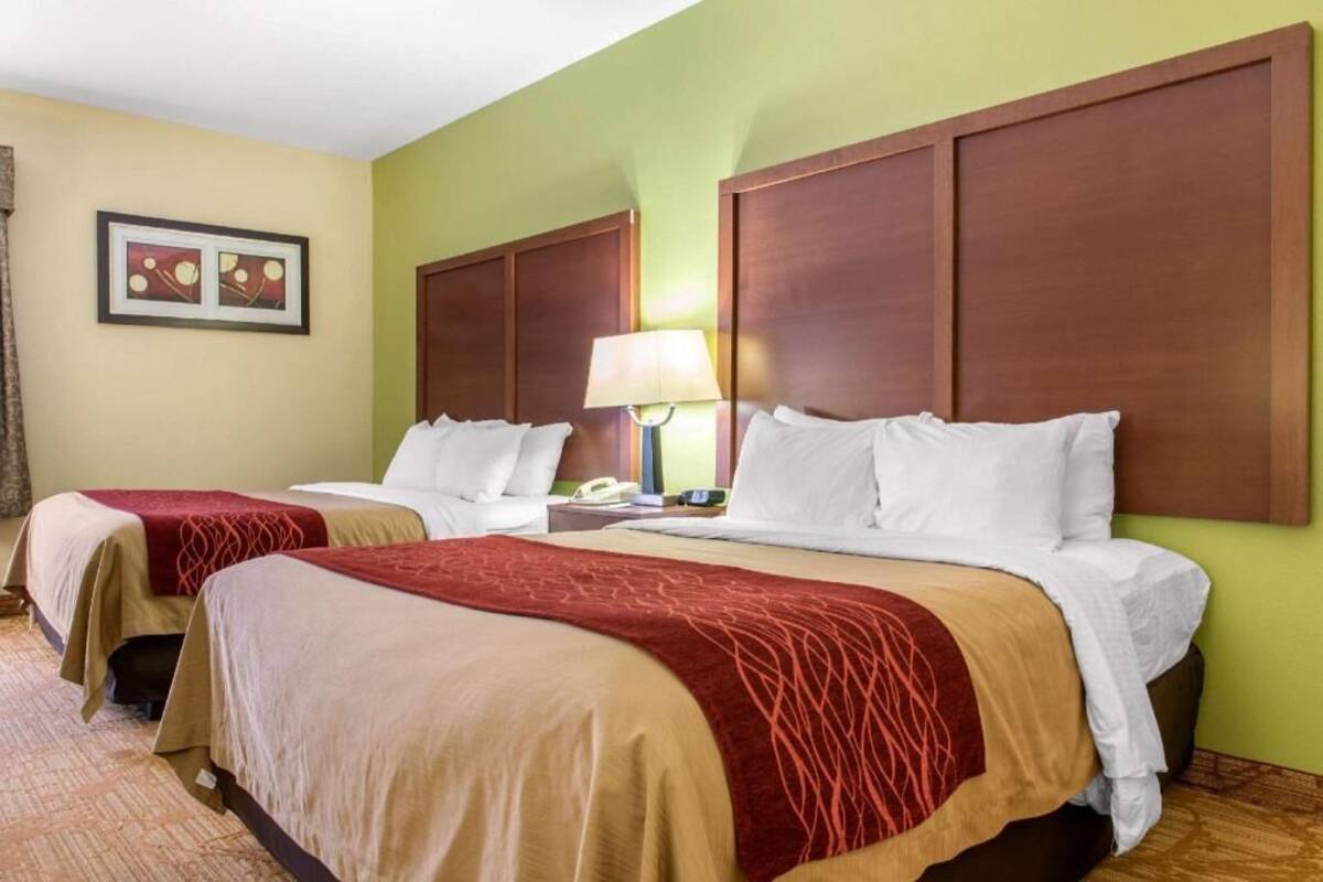 A hotel room with two beds, a nightstand, a lamp, and a framed picture on the wall.