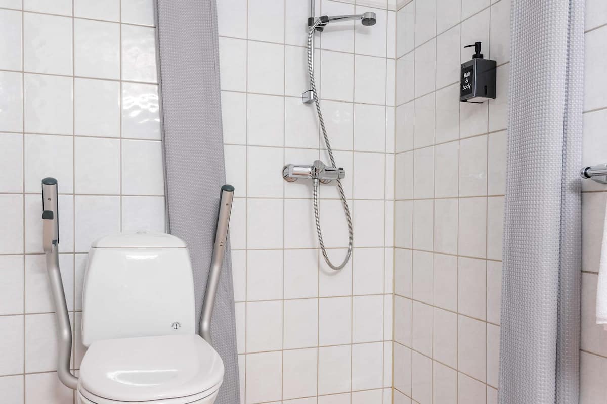 standard room, 1 queen bed, accessible, non smoking (with sofabed) | accessible bathroom