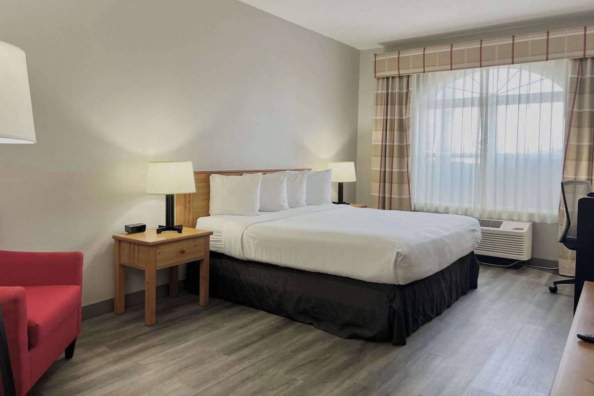 Room, 1 King Bed, Accessible, Non Smoking | 1 bedroom, premium bedding, down comforters, desk
