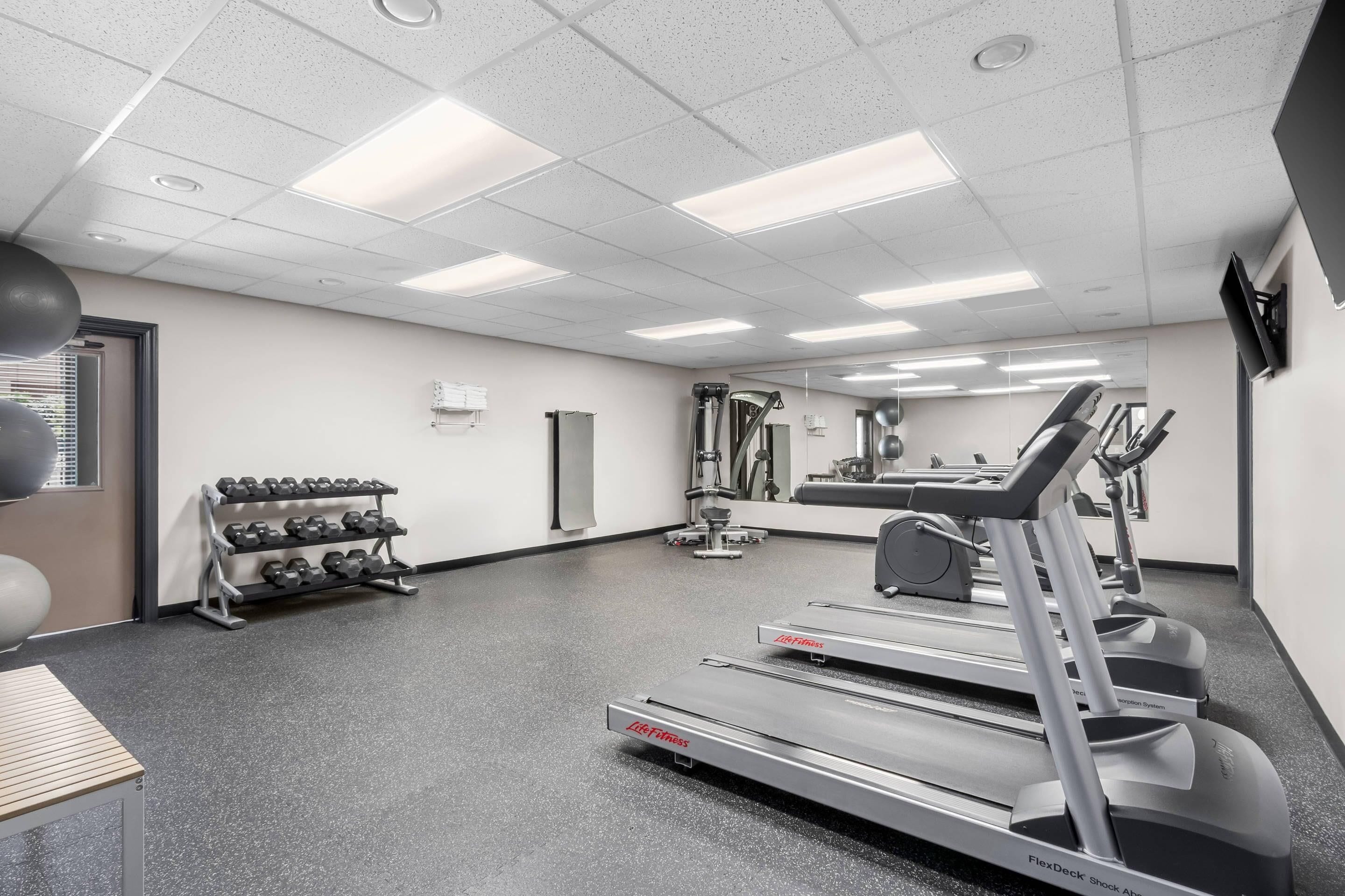 A gym with treadmills, dumbbells, and weight machines.