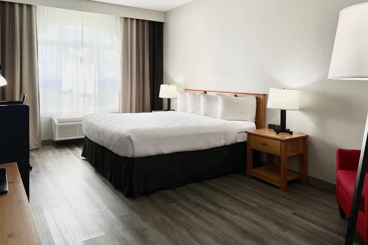 Room, 1 King Bed, Accessible, Non Smoking | Premium bedding, down comforters, desk, blackout drapes