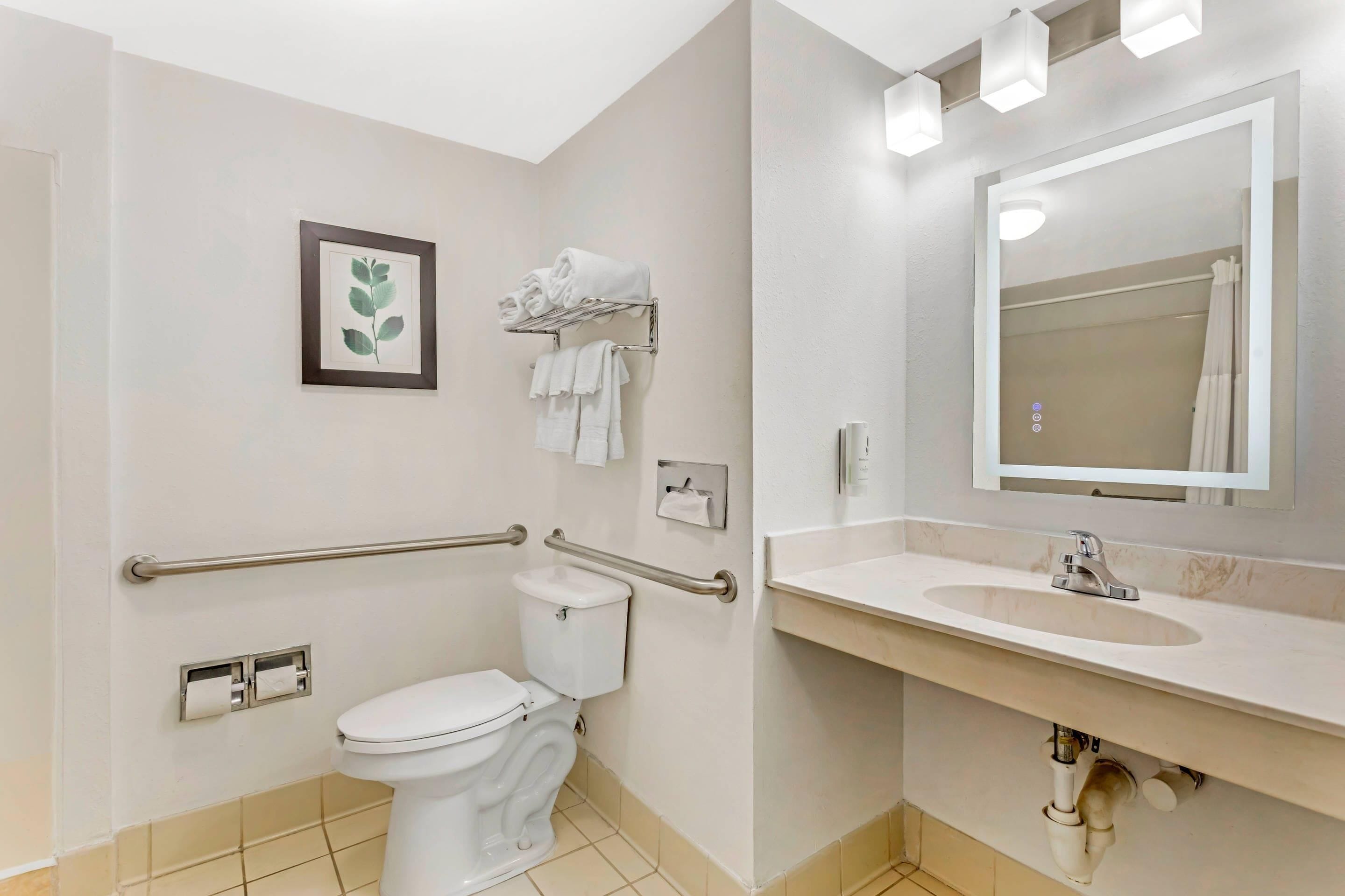 A modern bathroom with a toilet, handrails, a sink, and a mirror.