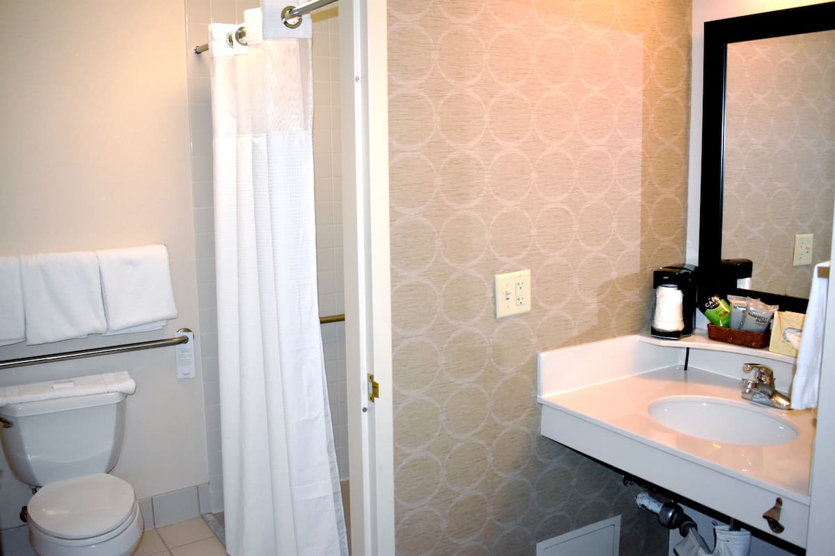 combined shower/bathtub, free toiletries, hair dryer, towels