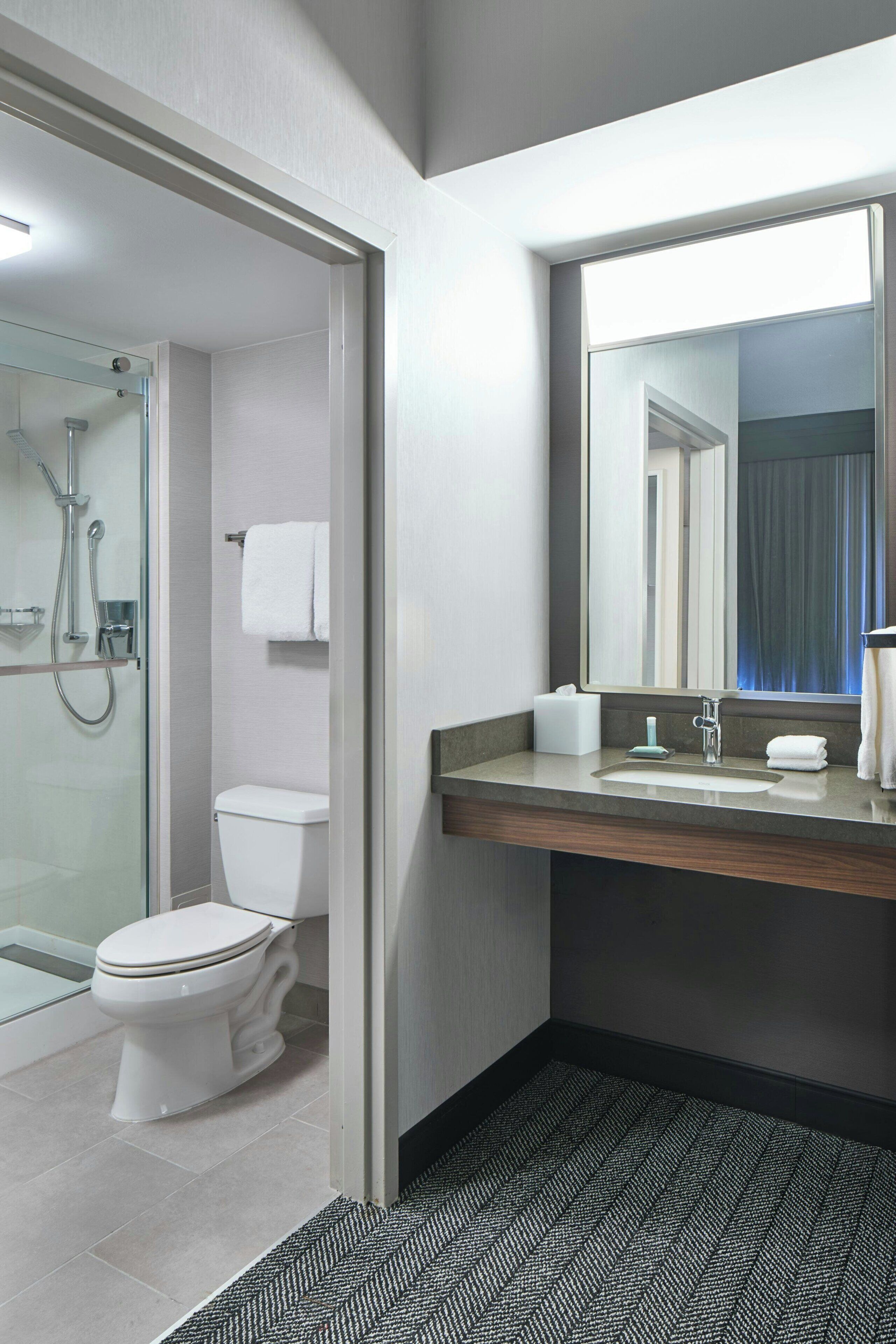 A modern bathroom with a glass shower enclosure, a toilet, a sink with a mirror, and a dark patterned rug.