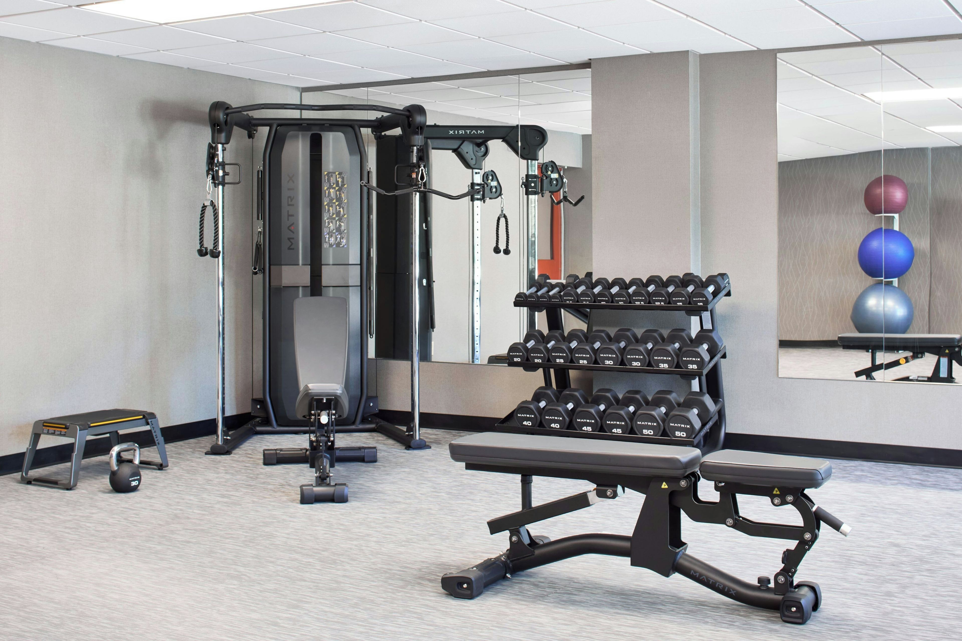 A gym with a squat rack, bench press, and a rack of dumbbells.