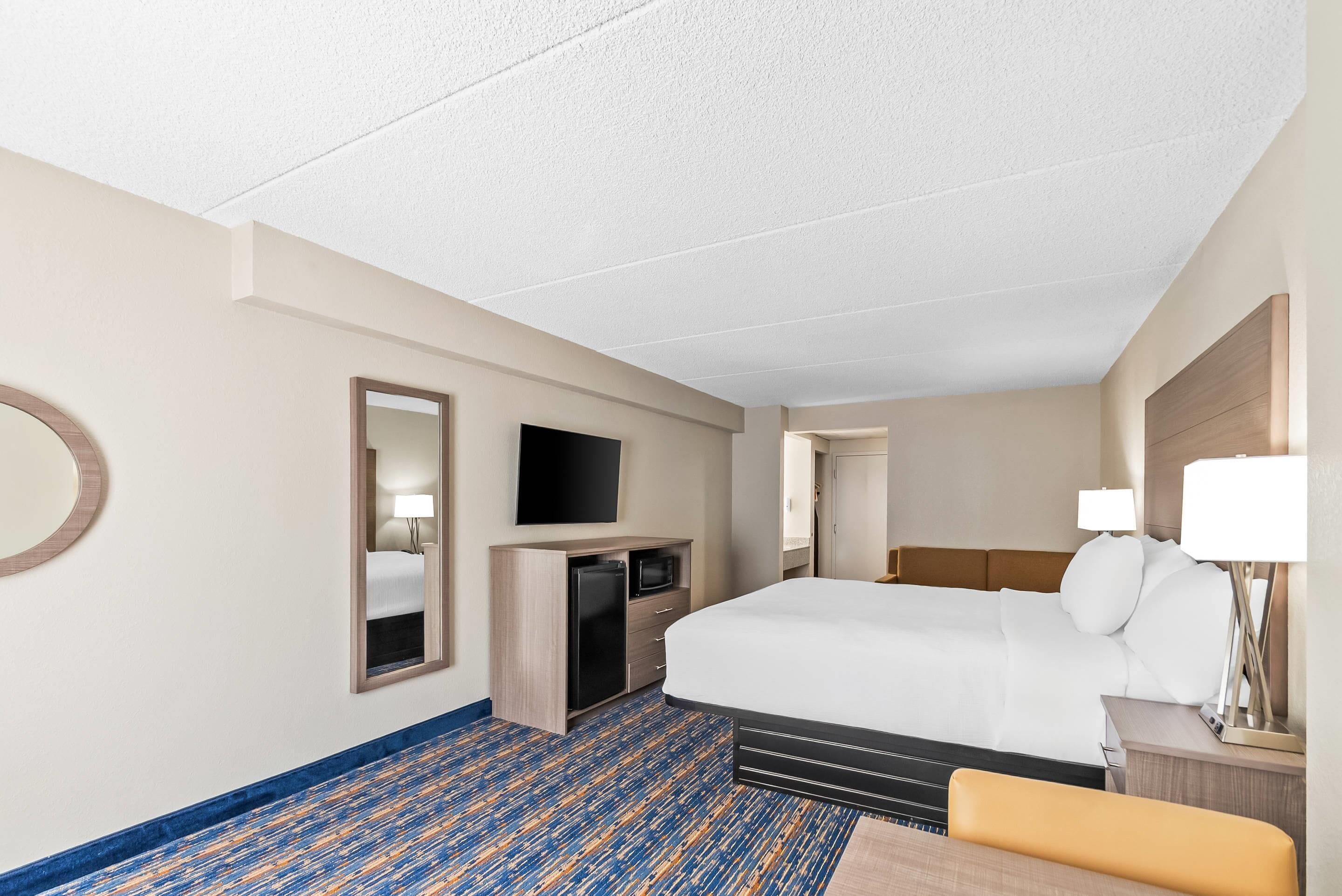 Standard Room, 1 King Bed, Non Smoking