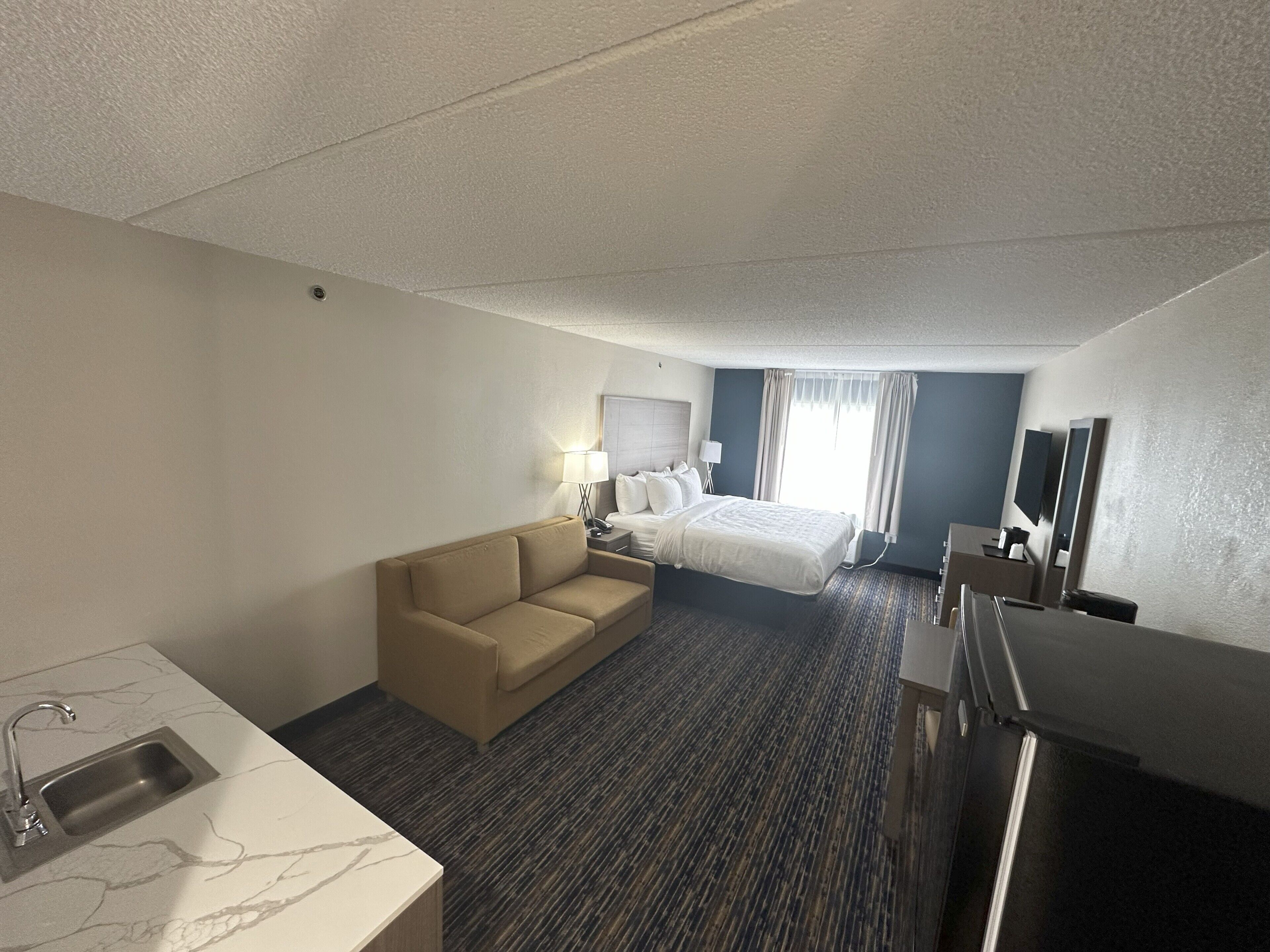 Suite, 1 King Bed with Sofa bed, Non Smoking