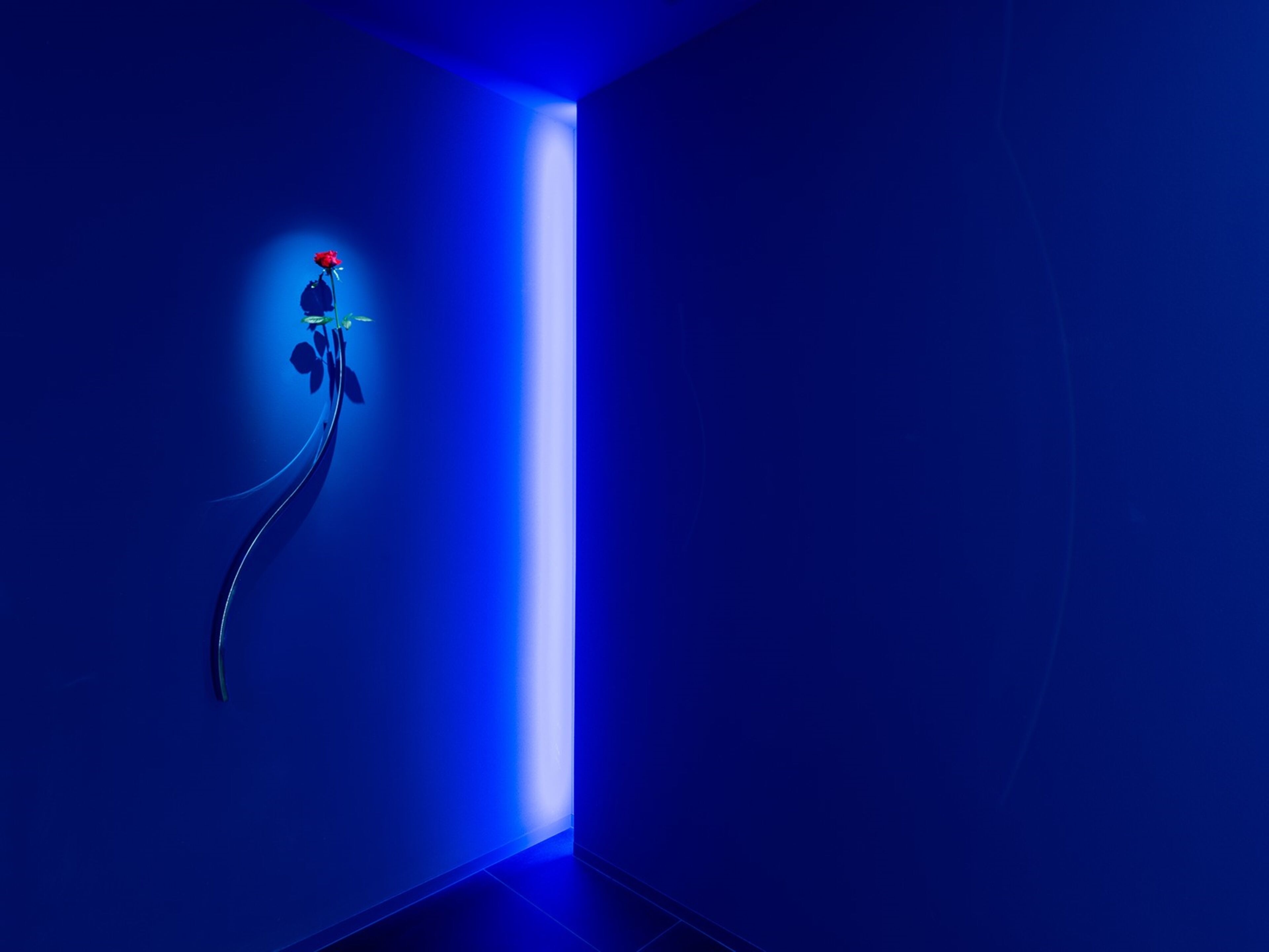 Foto - HOTEL IL PALAZZO - Vacation STAY 68248v