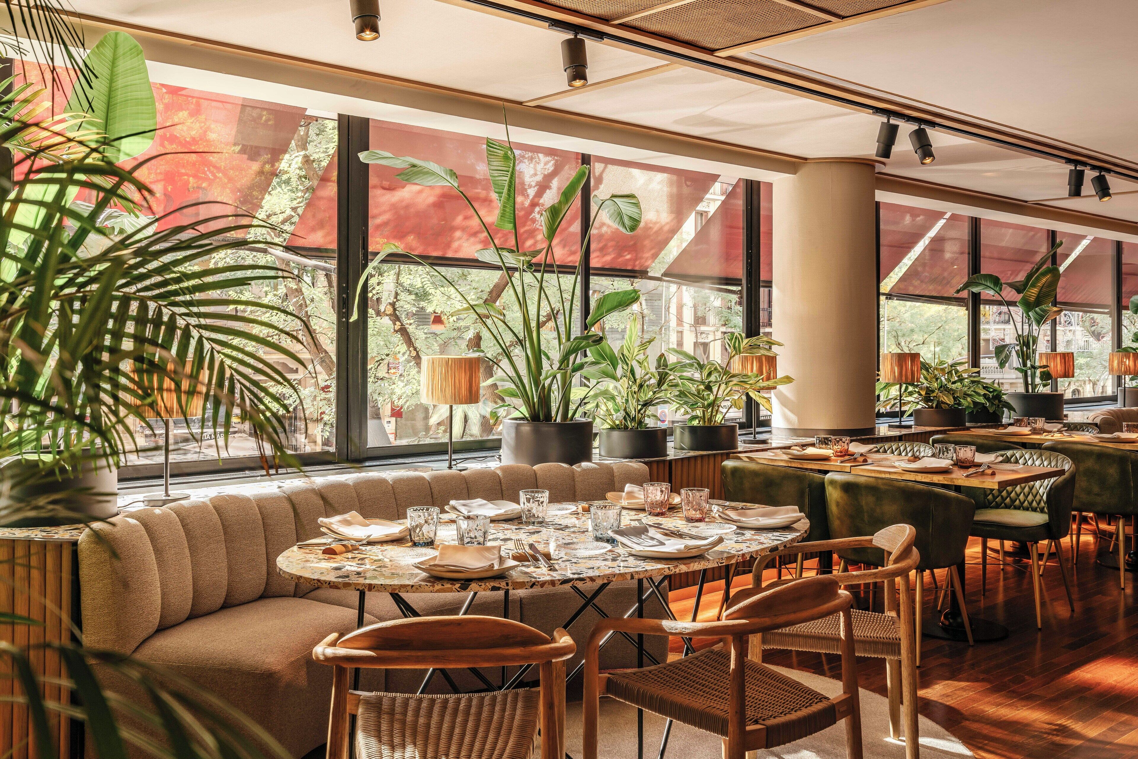 En modern restaurang med en mysig sittgrupp, stora fönster och många krukväxter.