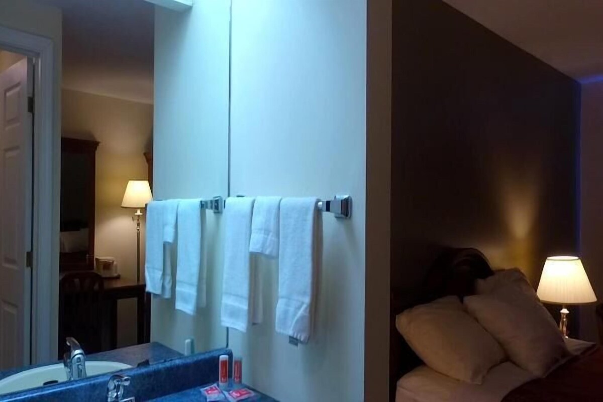 Une chambre d’hôtel avec une salle de bain, un lit et une table de chevet avec une lampe.
