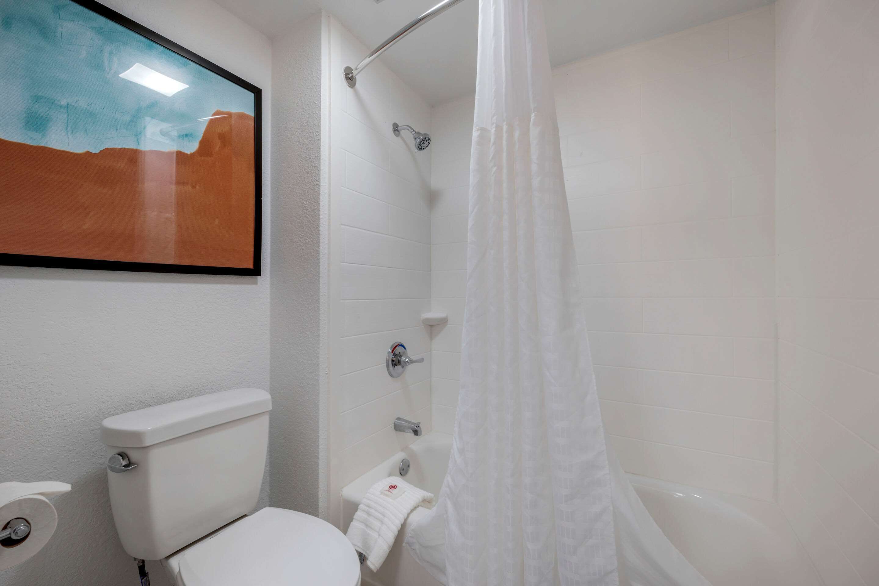 Et badeværelse med toilet, bruser med gardin og et billede i ramme på væggen.