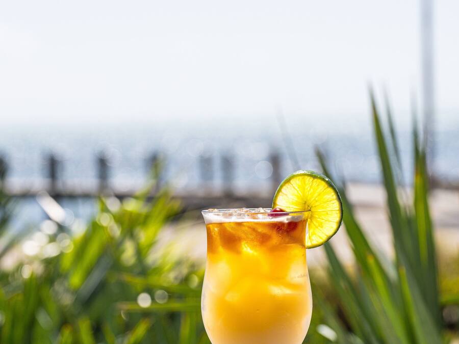 A cocktail glass with a lime garnish on a blue table, set against a beach backdrop with palm trees and ocean view.