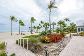 A beachfront resort with palm trees, a beach, and a lounge area with sunbeds.