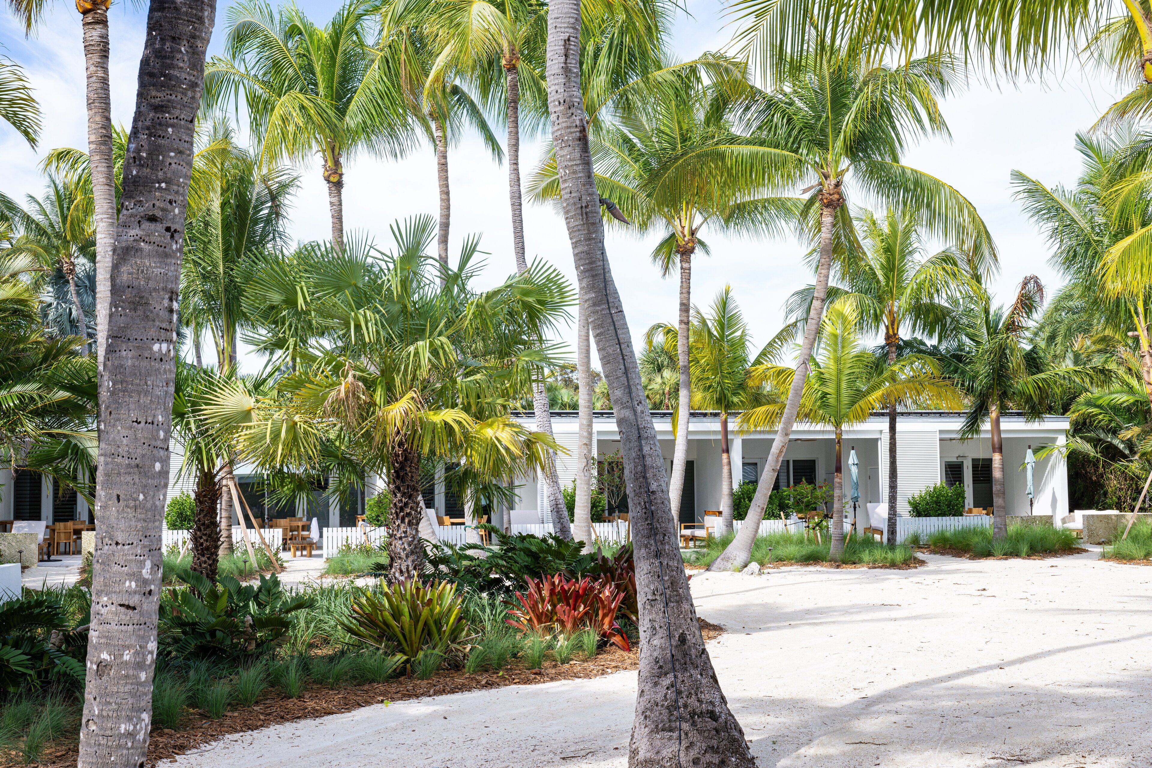 A modern building surrounded by palm trees and tropical plants.